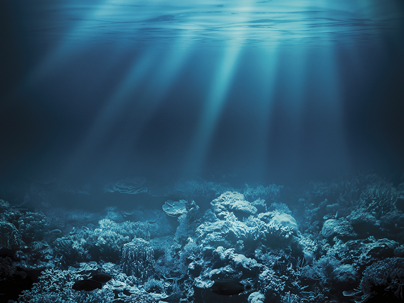 Armani-Silos-One-Ocean-Foundation-underwater-photo-by-Kurt-Arrigo