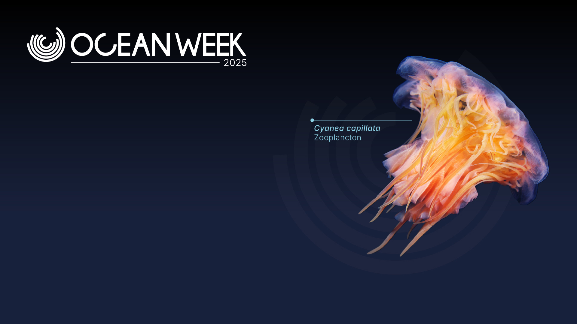 one ocean week 2025_DESKTOP_LOGO
