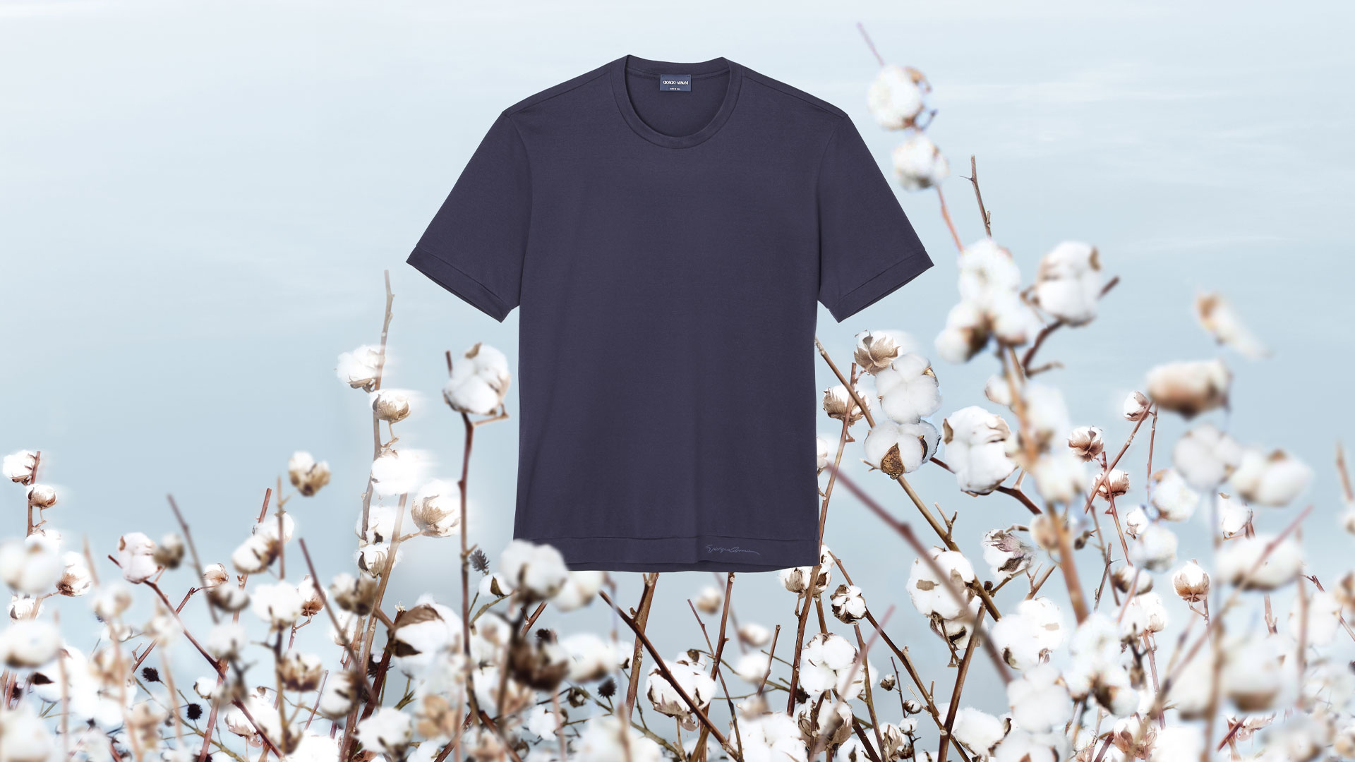 t-shirt-apulia regenerative-cotton-project_DESKTOP